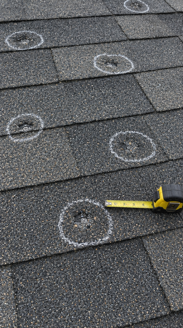 Hail impact bruises on asphalt shingles, chalk-marked and measured during a roof inspection